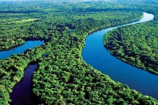 Brazil (Top 10 Most Biodiverse Countries)