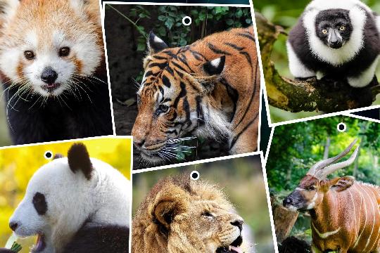 China (Top 10 Most Biodiverse Countries)