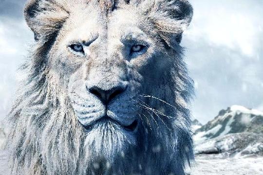 The Lion King (2019) (Top 10 Highest-Grossing Films of All Time)