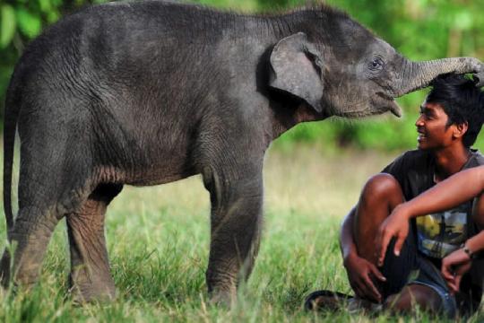 India (Top 10 Most Biodiverse Countries)