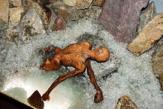 Ötzi the Iceman (1991) (Top 10 Groundbreaking Archaeological Finds)