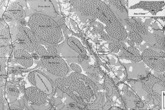 The Carolina Bays – United States (Top 10 Unexplained Geological Formations)