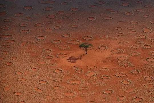 The Namibia Fairy Circles (Top 10 Unexplained Geological Formations)
