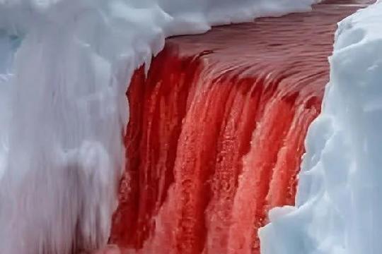 Blood Falls (Top 10 Paranormal Natural Events)