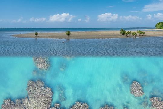 Fiji's Coral Coast (Top 10 Most Beautiful Coral Reefs)